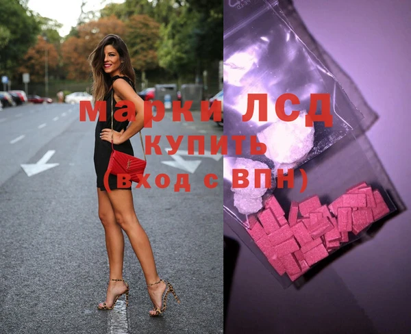 СК Гатчина