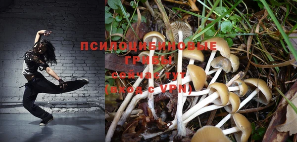 ПСИЛОЦИБИНОВЫЕ ГРИБЫ Гвардейск