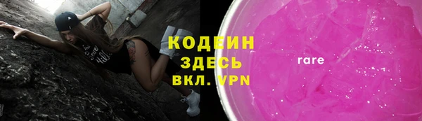 СК Гатчина