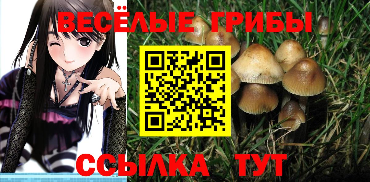 Радужный  Псилоцибиновые грибы мицелий  Псилоцибиновые грибы Psilocybe  Вход с VPN 